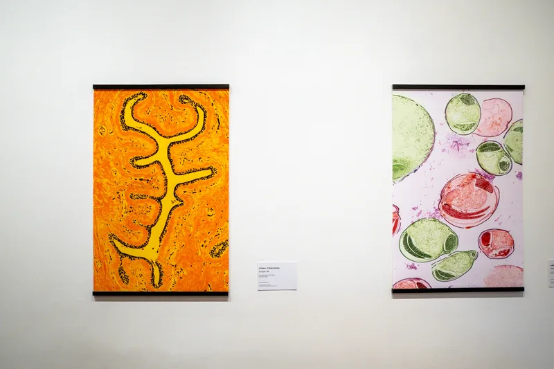 Art'n'Sci Collective exhibition, New York 2026