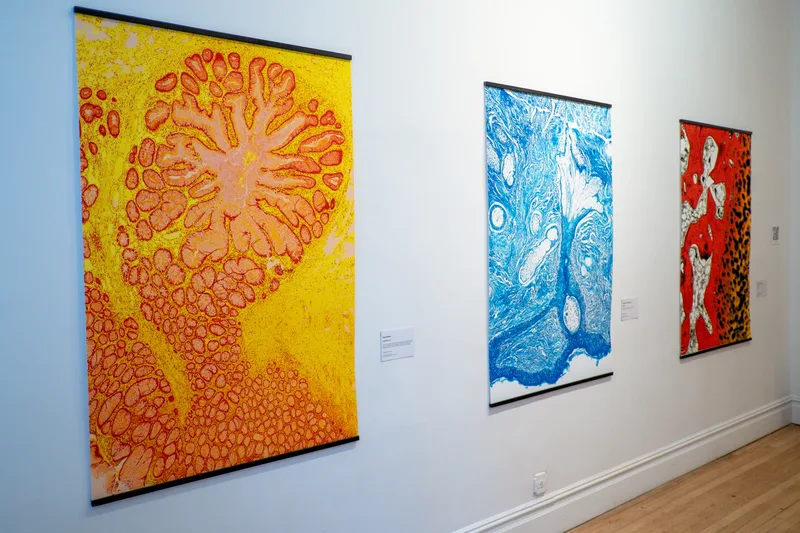 Art'n'Sci Collective exhibition, New York 2026