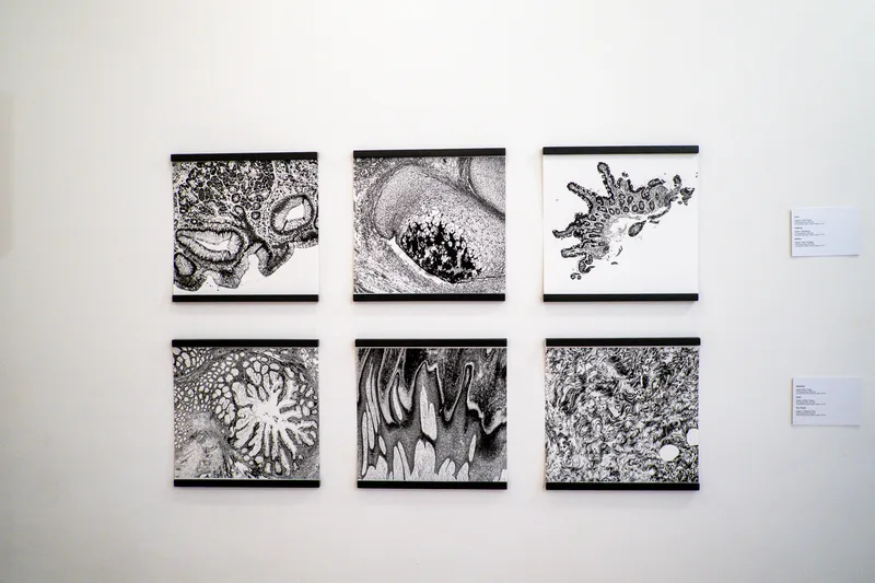 Art'n'Sci Collective exhibition, New York 2026