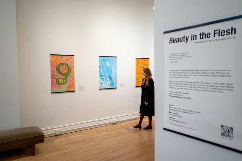 Art'n'Sci Collective exhibition, New York 2026