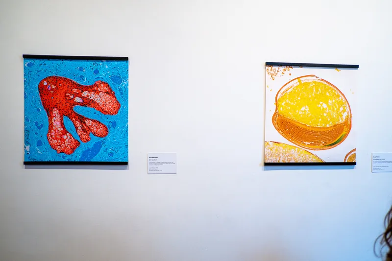 Art'n'Sci Collective exhibition, New York 2026