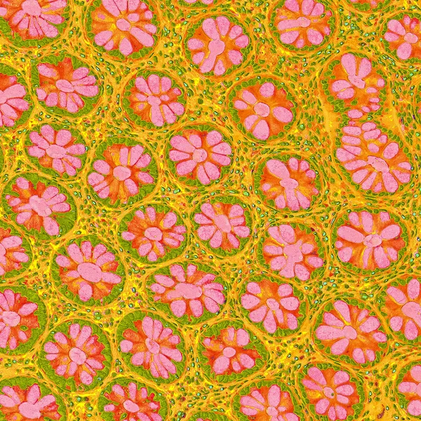 Field of Flowers
