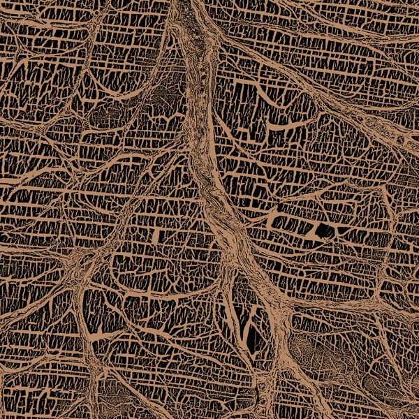 Roots