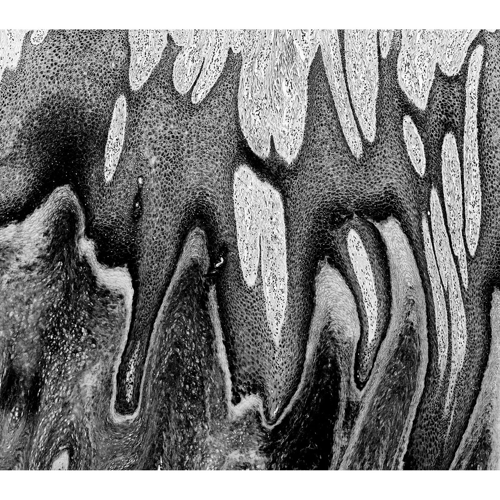 Stalactites